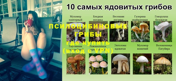 гашик Верхний Тагил