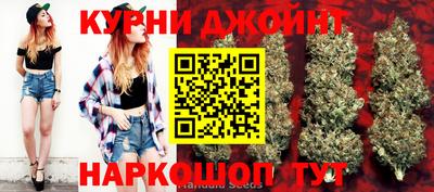 индика Рыбинск