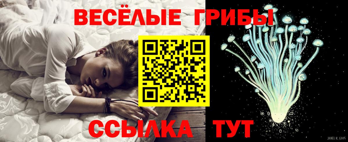 Псилоцибиновые грибы Psilocybine cubensis  Вход с VPN  Галлюциногенные грибы ЛСД  Рузаевка 