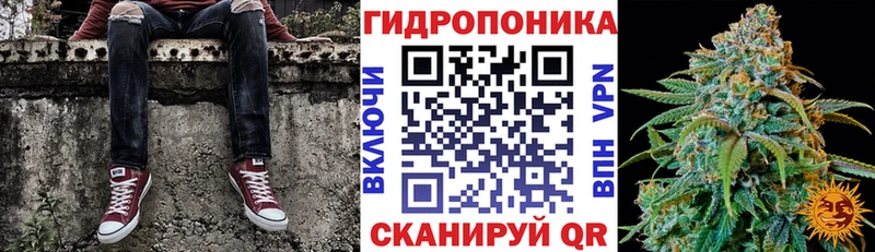 ОМГ ОМГ tor  Рузаевка  Конопля Bruce Banner 